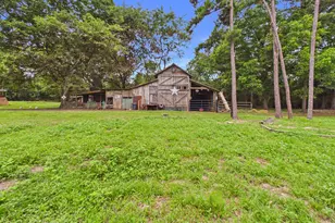 160 Bell Sister, Lumpkin, GA 31815 - Photo 5