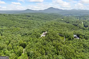 482 Miners Mountain Rd, Sautee Nacoochee, GA 30571 - Photo 165