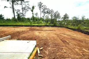 48 Umber Ln, Newnan, GA 30263 - Photo 7