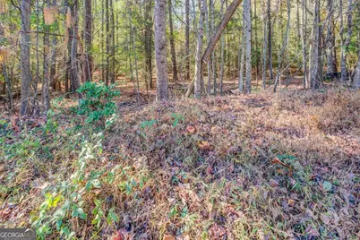 1470 River Station Drive, Lawrenceville, GA 30045 - Photo 7