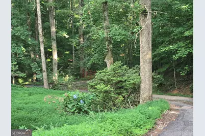 205 Whitewater Road, Demorest, GA 30535 - Photo 13