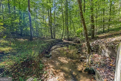 205 Whitewater Road, Demorest, GA 30535 - Photo 3