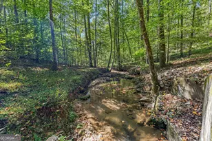 205 Whitewater Rd, Demorest, GA 30535 - Photo 3