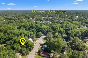 407 S Main St, Greensboro, GA 30642 - Photo 39