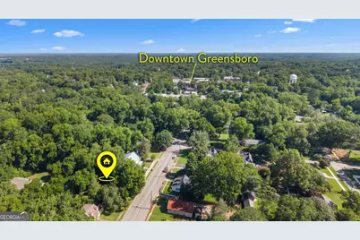 407 S Main Street, Greensboro, GA 30642 - Photo 41