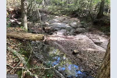 Lot #10 2688 Road, Thomaston, GA 30286 - Photo 29