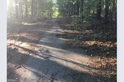 Lot #10 2688 Road, Thomaston, GA 30286 - Photo 17