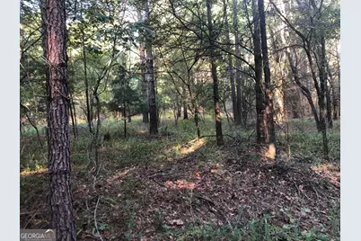 Lot #10 2688 Road, Thomaston, GA 30286 - Photo 25