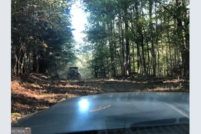 Lot #10 2688 Road, Thomaston, GA 30286 - Photo 13