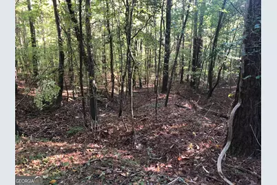 Lot #10 2688 Road, Thomaston, GA 30286 - Photo 9