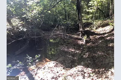 Lot #10 2688 Road, Thomaston, GA 30286 - Photo 23