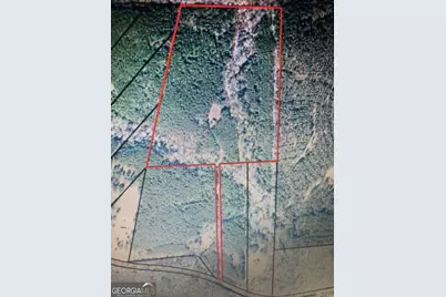 Lot #10 2688 Road, Thomaston, GA 30286 - Photo 1