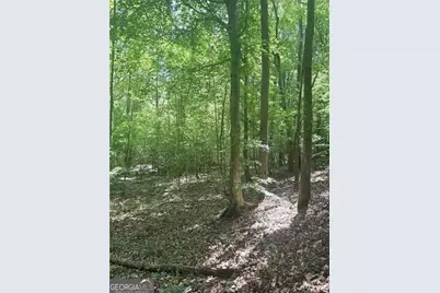 0 Benson Road, Dallas, GA 30132 - Photo 3