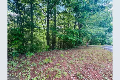 0 Rosen Strasse - Lot 141, Helen, GA 30545 - Photo 9