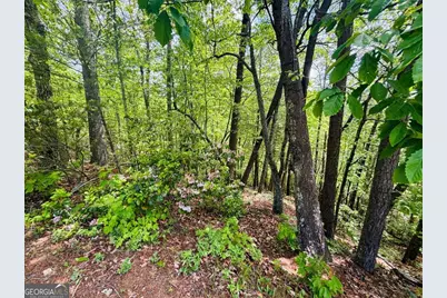 0 Rosen Strasse - Lot 141, Helen, GA 30545 - Photo 7