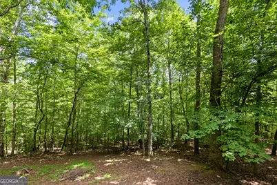 52 Merit Court, Ellijay, GA 30540 - Photo 29