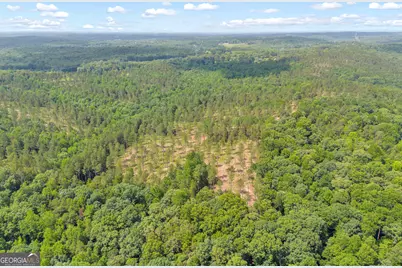 0 Mt. Sinai #LOT 3, Lula, GA 30554 - Photo 11
