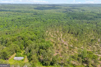 0 Mt. Sinai #LOT 3, Lula, GA 30554 - Photo 9