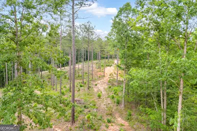 0 Mt. Sinai #LOT 3, Lula, GA 30554 - Photo 27