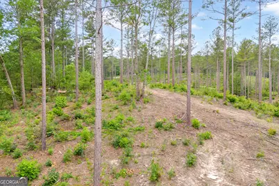 0 Mt. Sinai #LOT 3, Lula, GA 30554 - Photo 29
