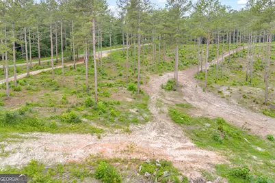 0 Mt. Sinai #LOT 3, Lula, GA 30554 - Photo 23