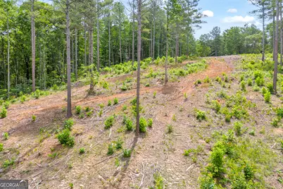0 Mt. Sinai #LOT 3, Lula, GA 30554 - Photo 35
