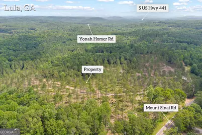 0 Mt. Sinai #LOT 3, Lula, GA 30554 - Photo 3