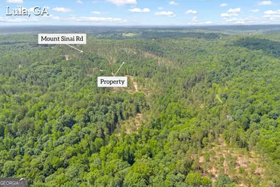 0 Mt. Sinai #LOT 3, Lula, GA 30554 - Photo 5