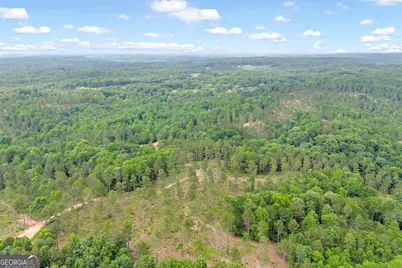 0 Mt. Sinai #LOT 3, Lula, GA 30554 - Photo 41