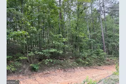 0 Mt. Sinai #LOT 3, Lula, GA 30554 - Photo 53