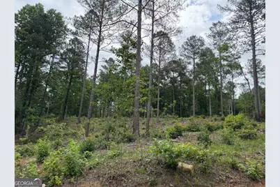 0 Mt. Sinai #LOT 3, Lula, GA 30554 - Photo 57