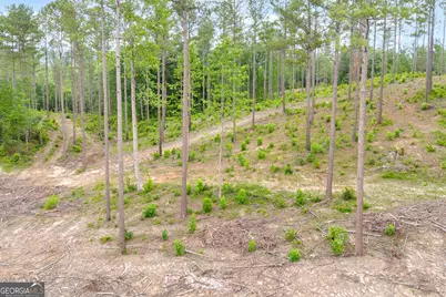 0 Mt. Sinai #LOT 3, Lula, GA 30554 - Photo 21