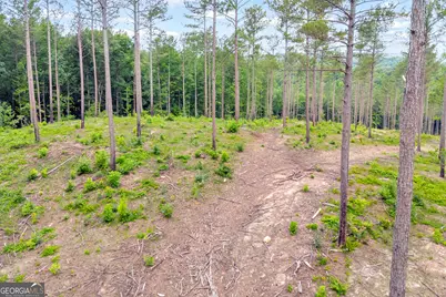 0 Mt. Sinai #LOT 3, Lula, GA 30554 - Photo 25