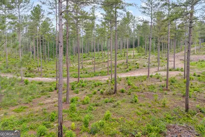 0 Mt. Sinai #LOT 3, Lula, GA 30554 - Photo 7