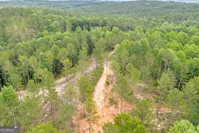 0 Mt. Sinai #LOT 3, Lula, GA 30554 - Photo 31
