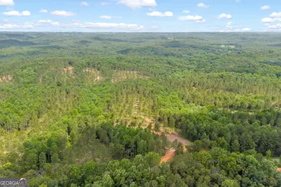 0 Mt. Sinai #LOT 3, Lula, GA 30554 - Photo 19