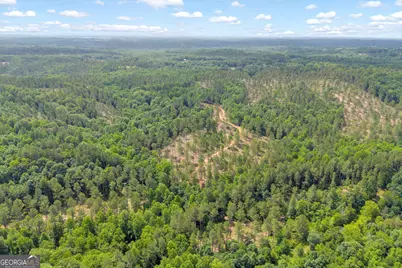 0 Mt. Sinai #LOT 3, Lula, GA 30554 - Photo 13