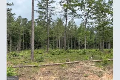 0 Mt. Sinai #LOT 3, Lula, GA 30554 - Photo 55