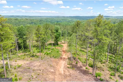 0 Mt. Sinai #LOT 3, Lula, GA 30554 - Photo 37