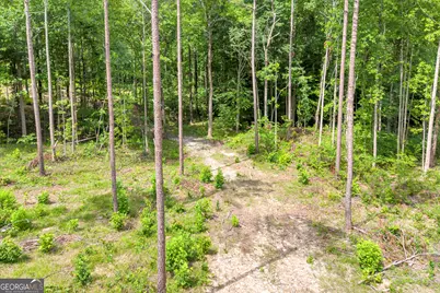 0 Mt. Sinai #LOT 3, Lula, GA 30554 - Photo 33