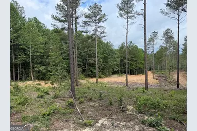 0 Mt. Sinai #LOT 3, Lula, GA 30554 - Photo 51