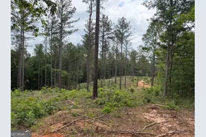 0 Mt. Sinai #LOT 4, Lula, GA 30554 - Photo 45