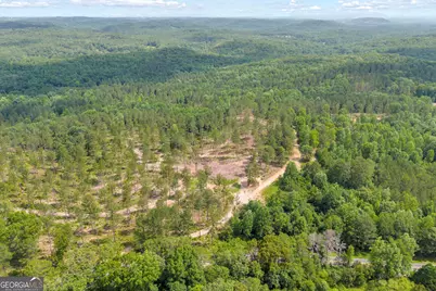 0 Mt. Sinai #LOT 4, Lula, GA 30554 - Photo 9