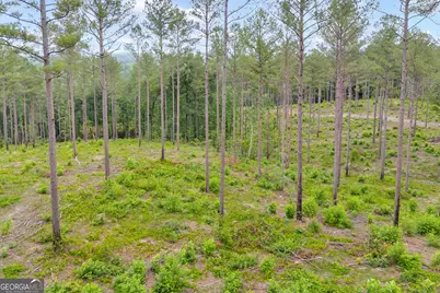 0 Mt. Sinai #LOT 4, Lula, GA 30554 - Photo 25