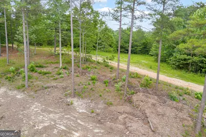 0 Mt. Sinai #LOT 4, Lula, GA 30554 - Photo 23