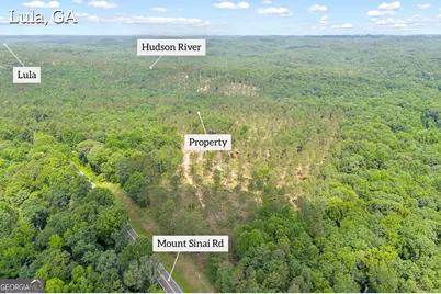 0 Mt. Sinai #LOT 4, Lula, GA 30554 - Photo 5