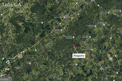 0 Mt. Sinai #LOT 4, Lula, GA 30554 - Photo 3