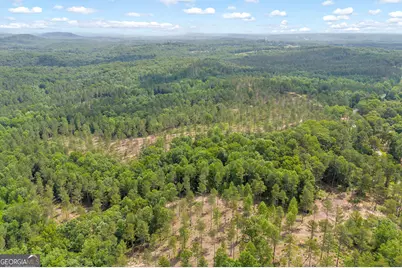 0 Mt. Sinai #LOT 4, Lula, GA 30554 - Photo 15