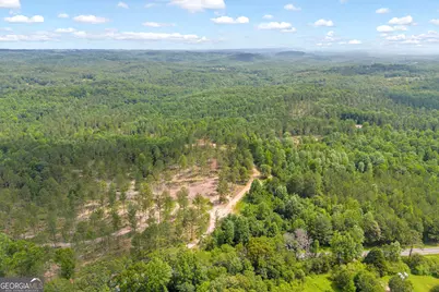 0 Mt. Sinai #LOT 4, Lula, GA 30554 - Photo 17