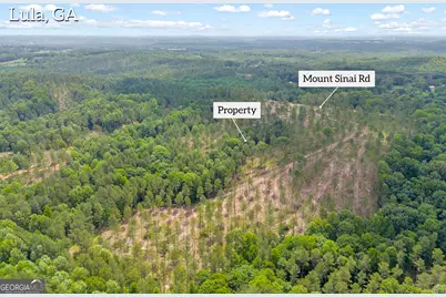 0 Mt. Sinai #LOT 4, Lula, GA 30554 - Photo 7
